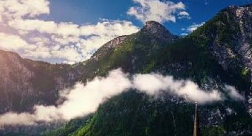 关于我们 - 呦呦视频下载 - 创意出发 我们的品牌故事